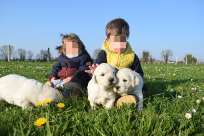 Bébé 1
